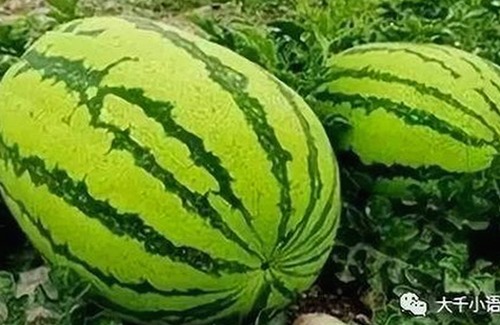 三只羊录音门与潜规则风波：豪言与真相的巨大反差